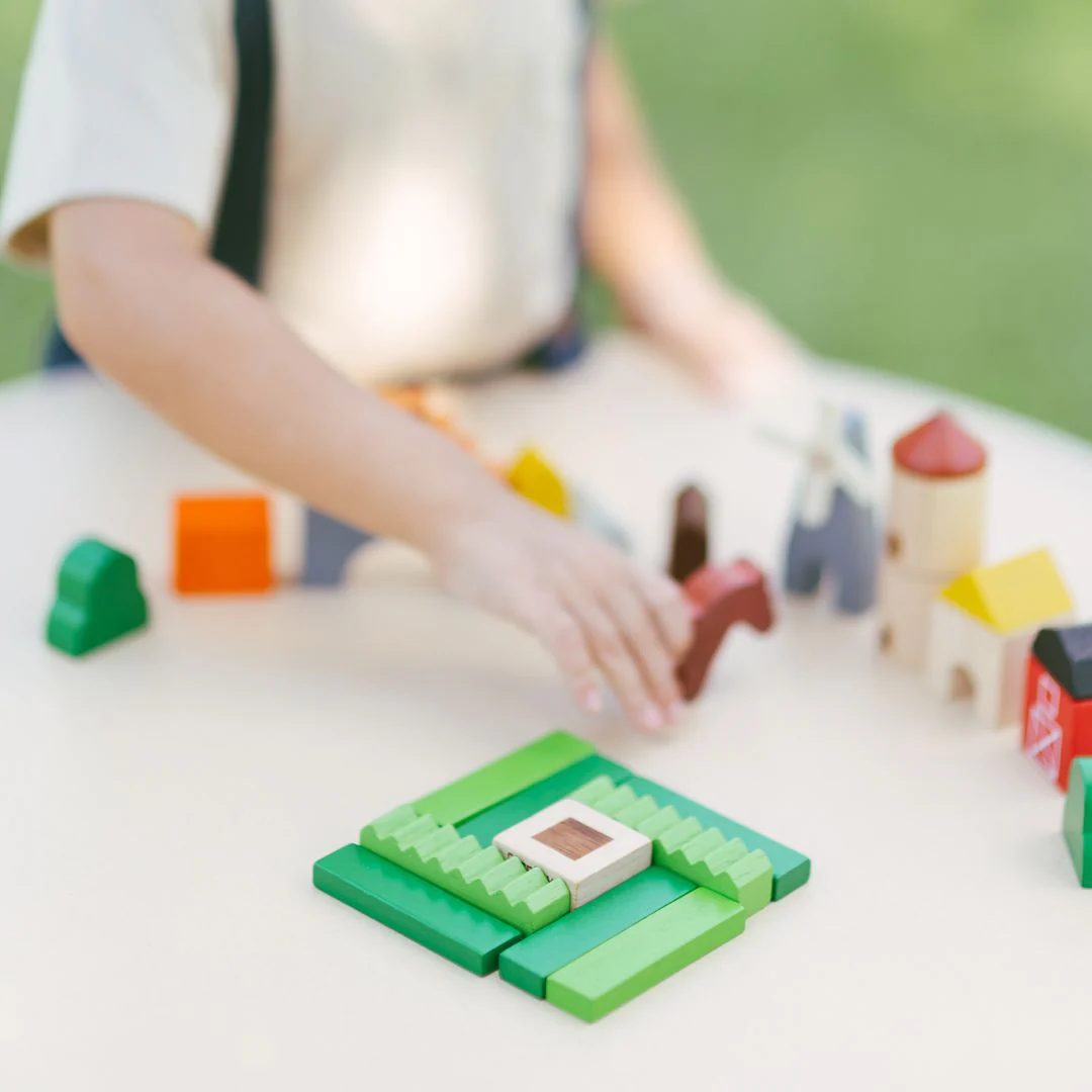 PlanToys Country Blocks - Image 3