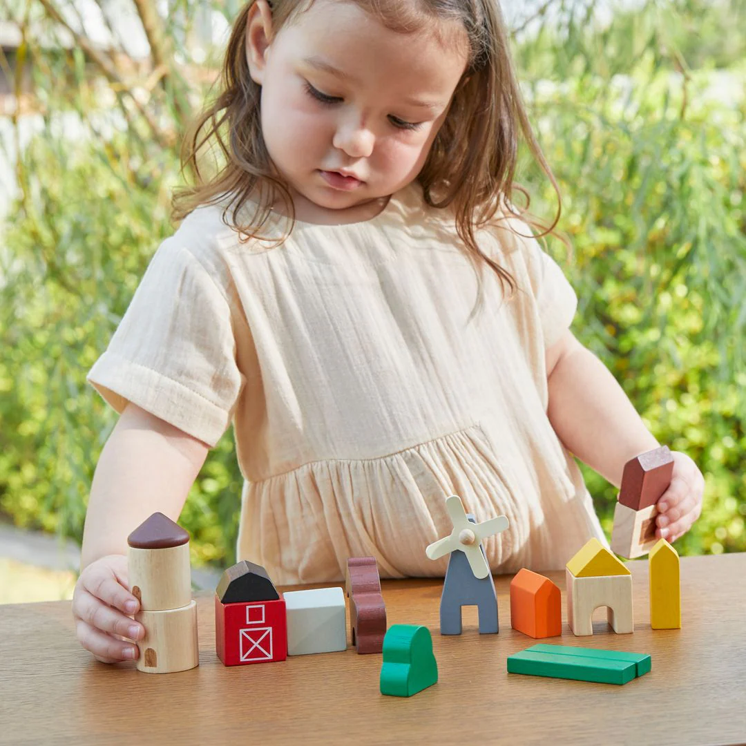 PlanToys Country Blocks - Image 4