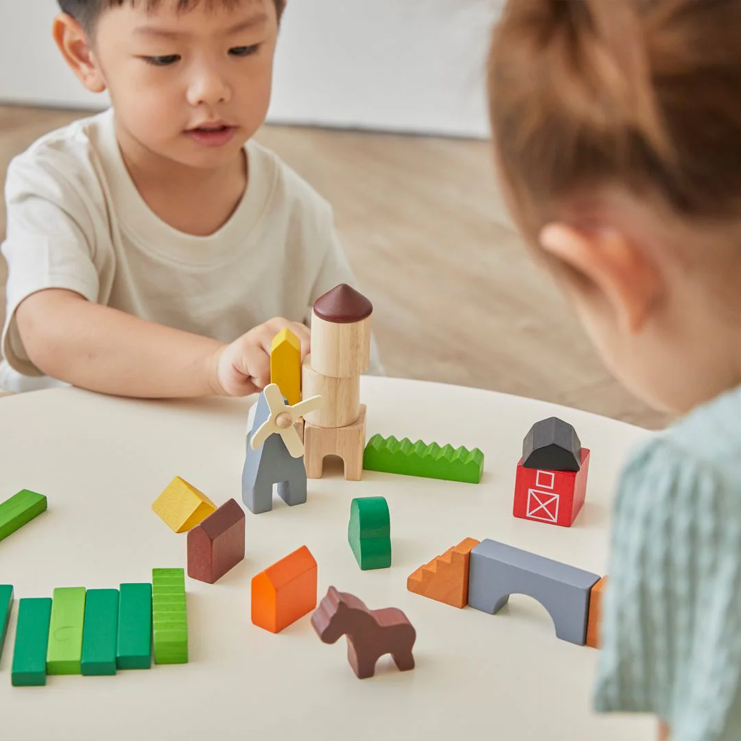 PlanToys Country Blocks - Image 8