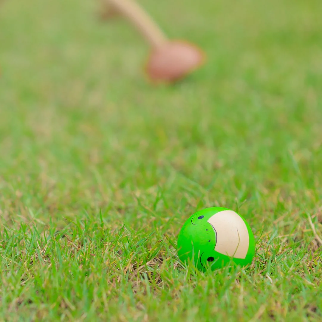 PlanToys Croquet - Image 4