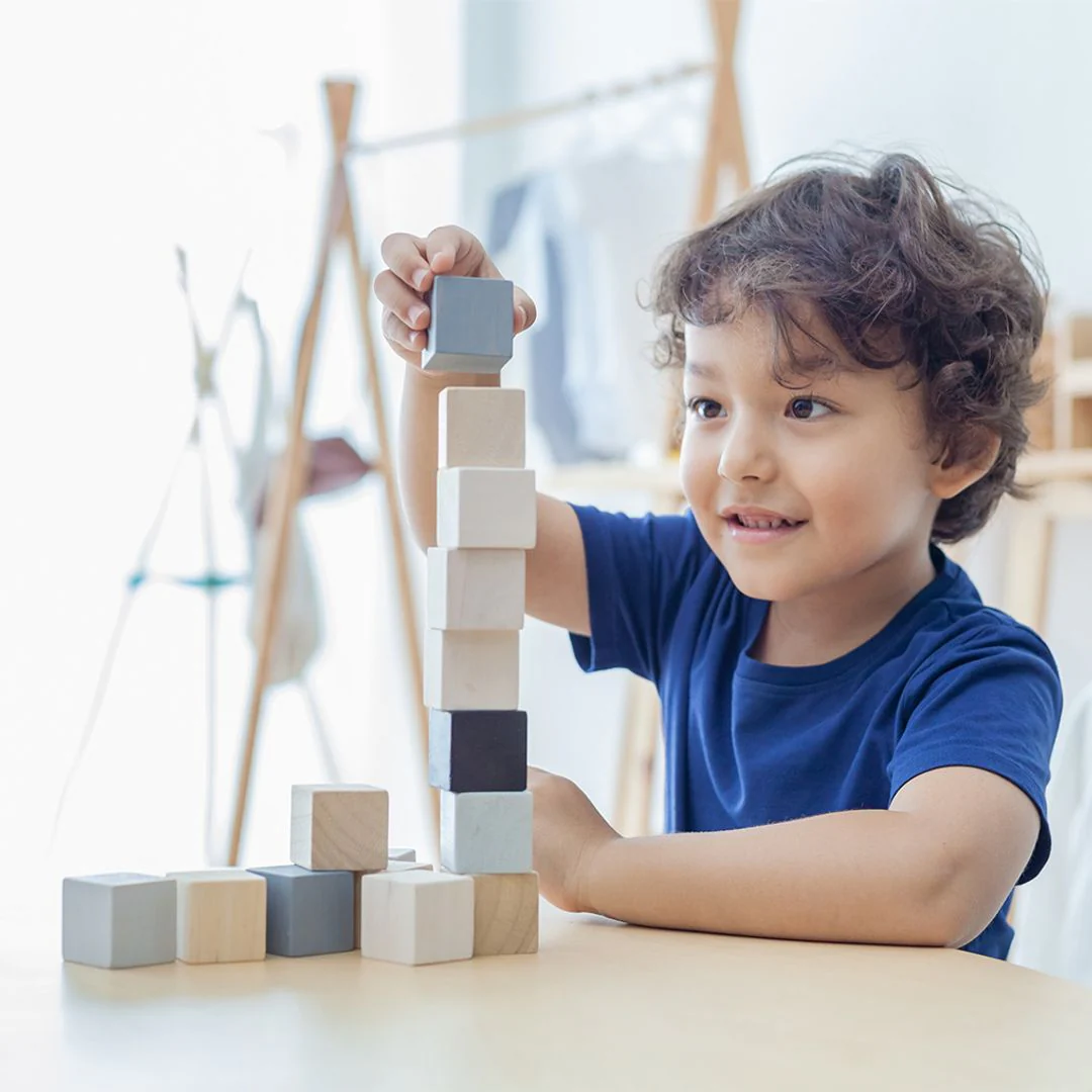 PlanToys Cubes - Image 4