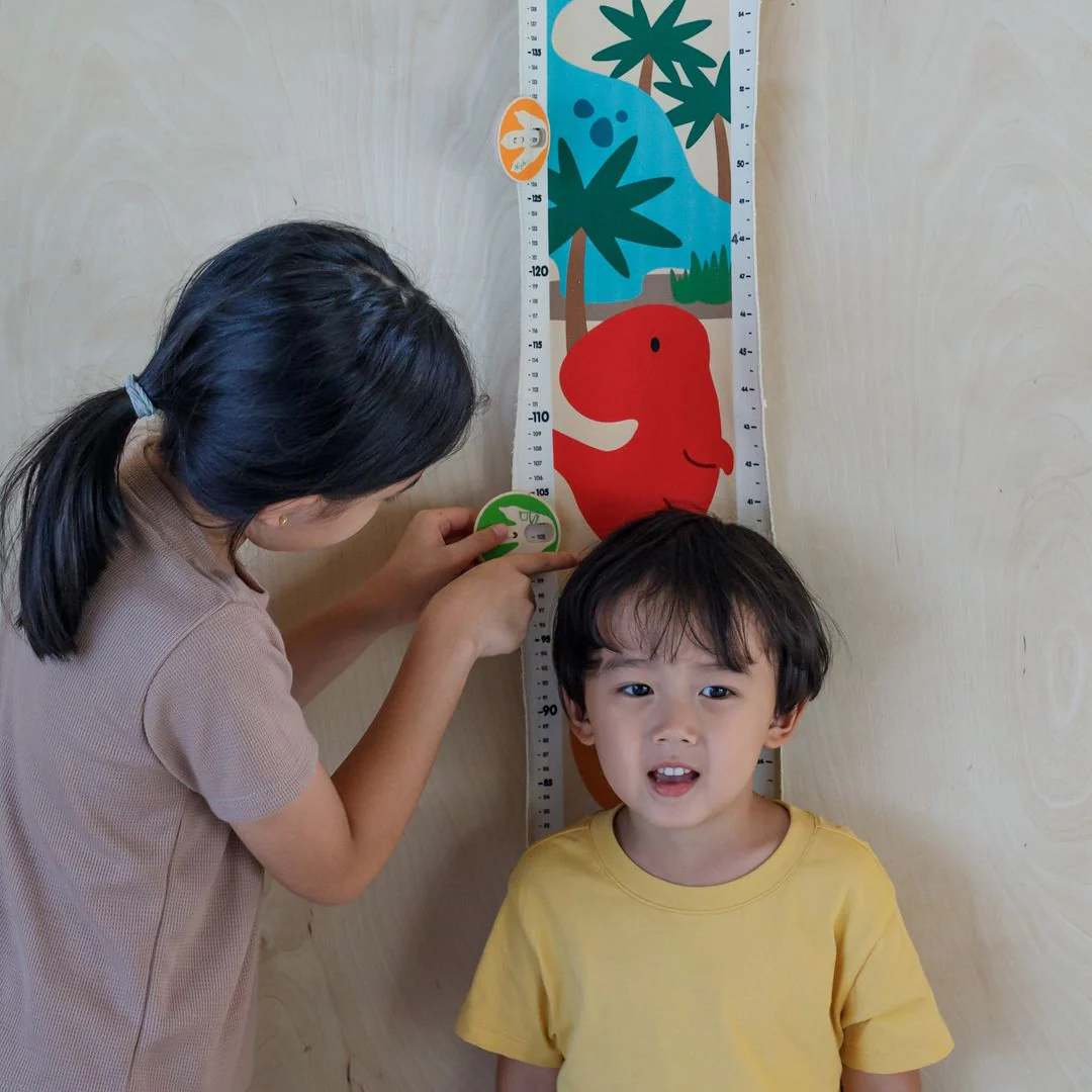 PlanToys Dino Height - Image 3