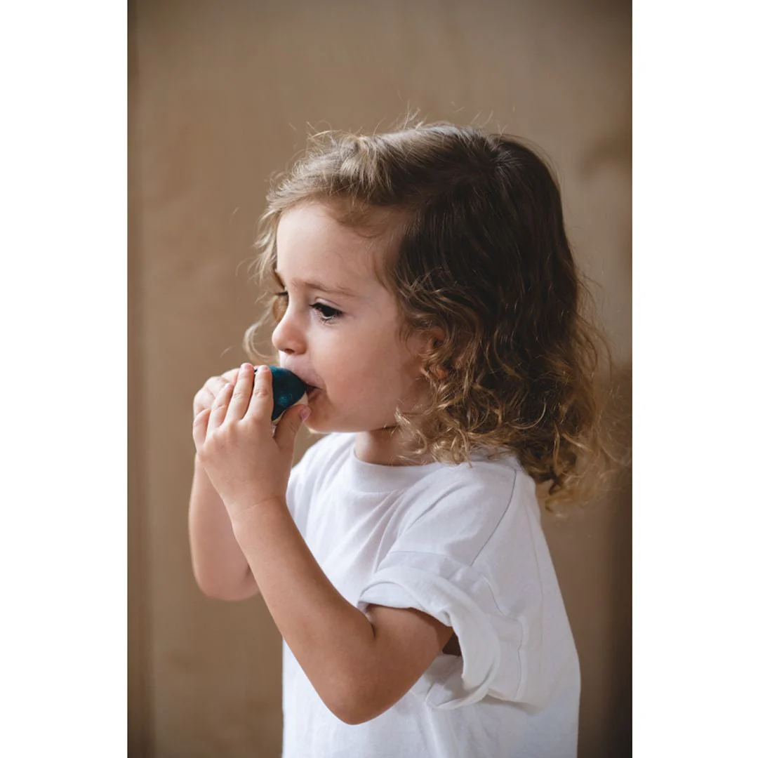 PlanToys Dolphin Whistle - Image 2