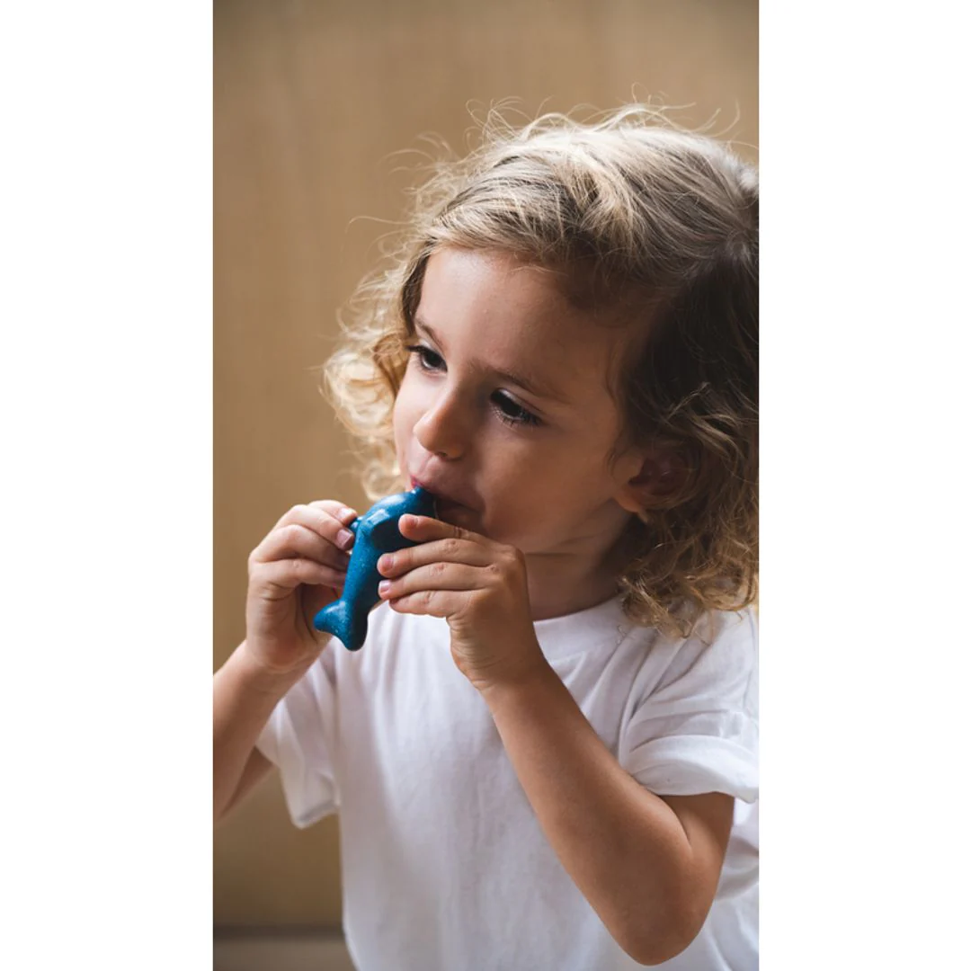 PlanToys Dolphin Whistle - Image 4