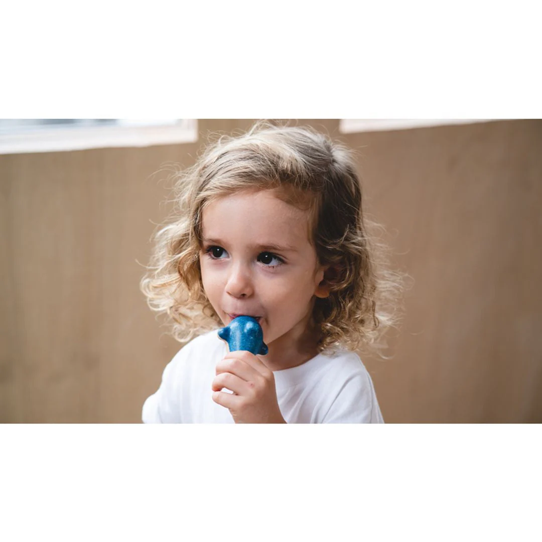 PlanToys Dolphin Whistle - Image 5