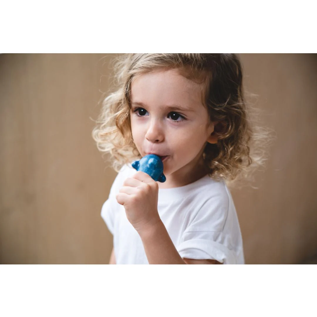 PlanToys Dolphin Whistle - Image 6