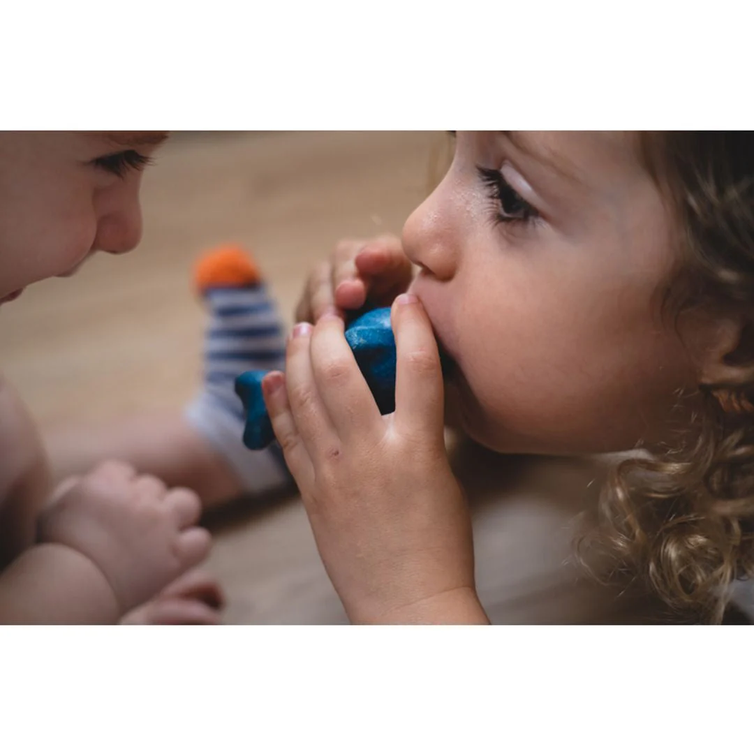 PlanToys Dolphin Whistle - Image 7