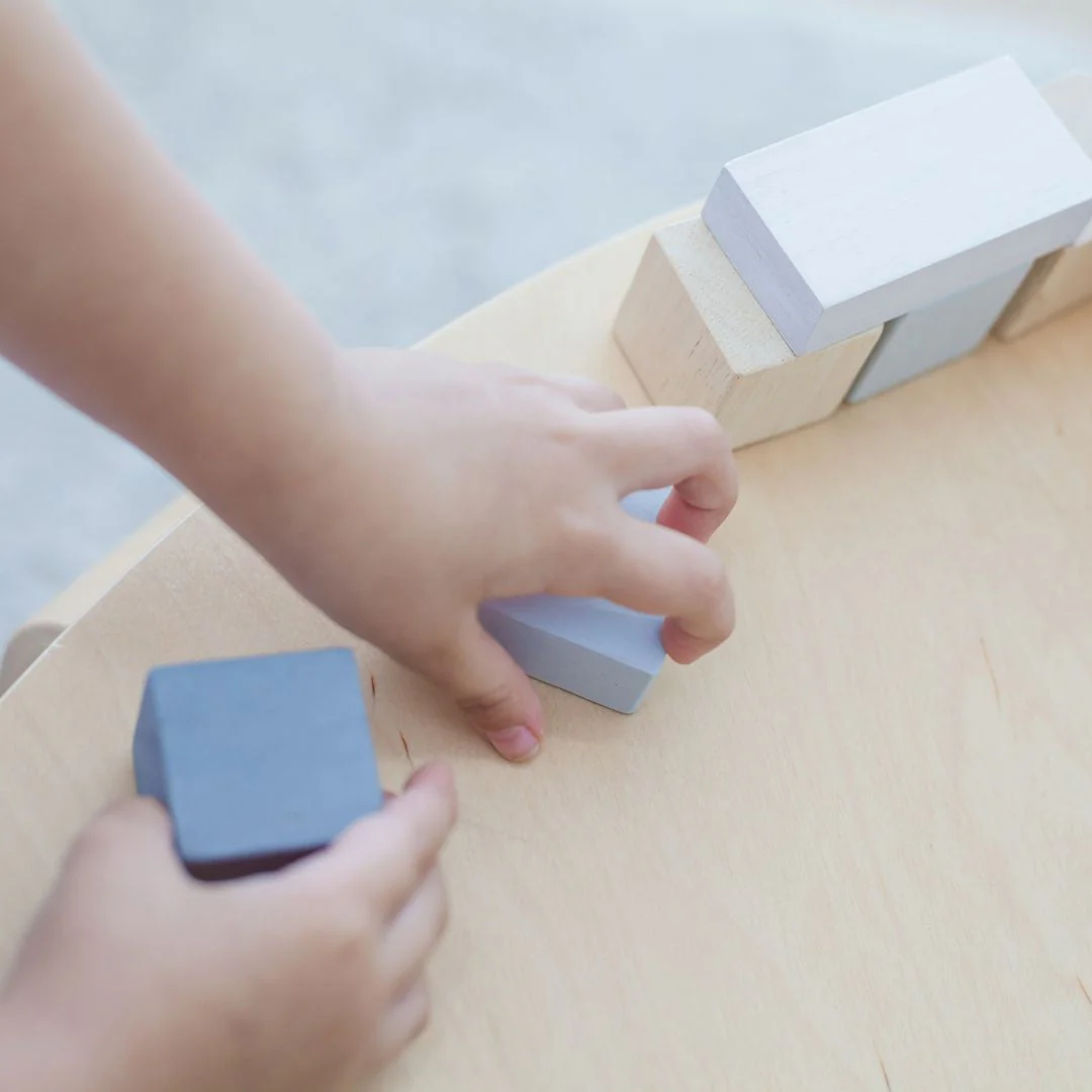 PlanToys Fraction Blocks - Image 2