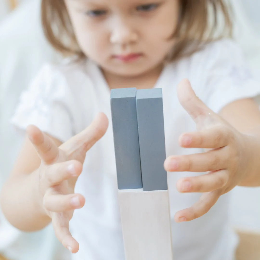 PlanToys Fraction Blocks - Image 3