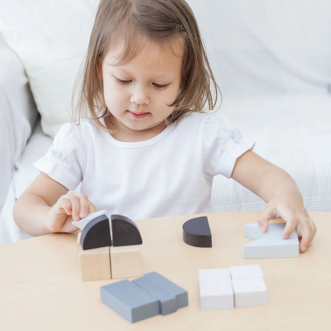 PlanToys Fraction Blocks - Image 4