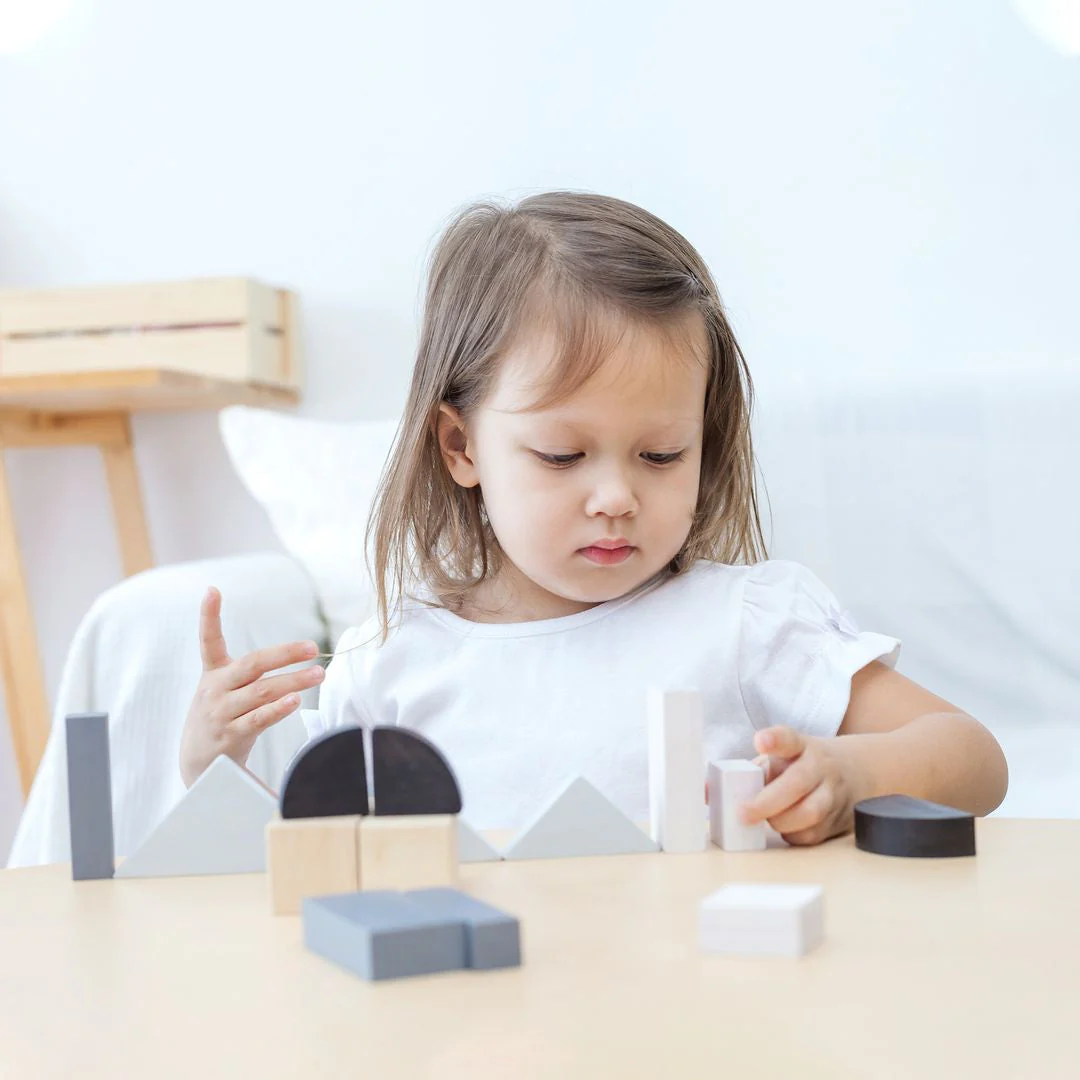 PlanToys Fraction Blocks - Image 5