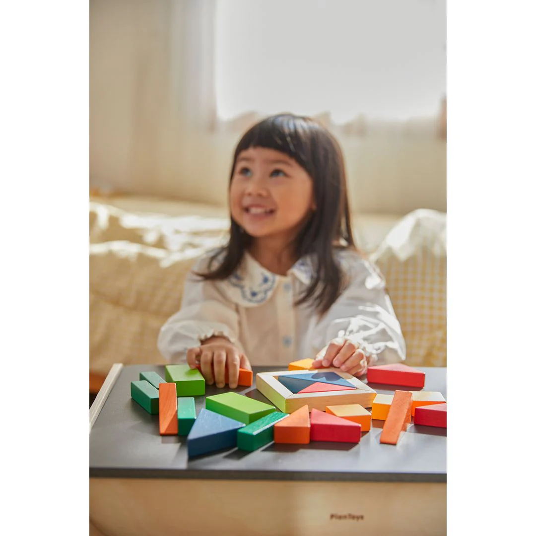 PlanToys Fraction Blocks - Unit Plus - Image 3