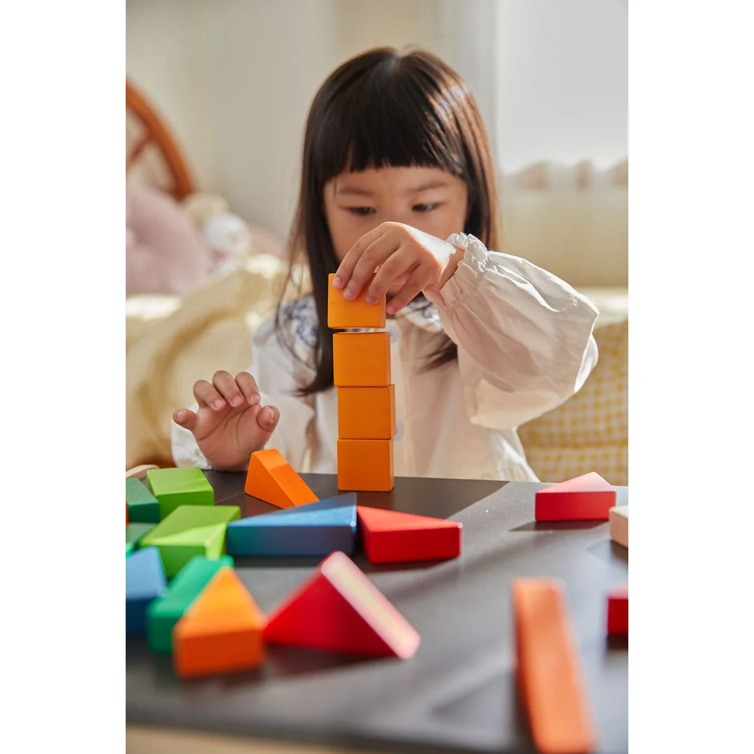 PlanToys Fraction Blocks - Unit Plus - Image 5