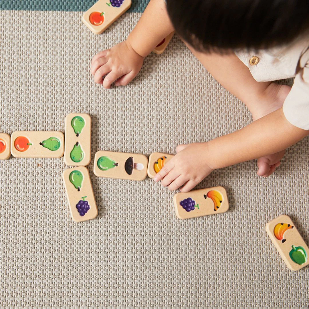 PlanToys Fruit & Veggie Domino (Gradient) - Image 7