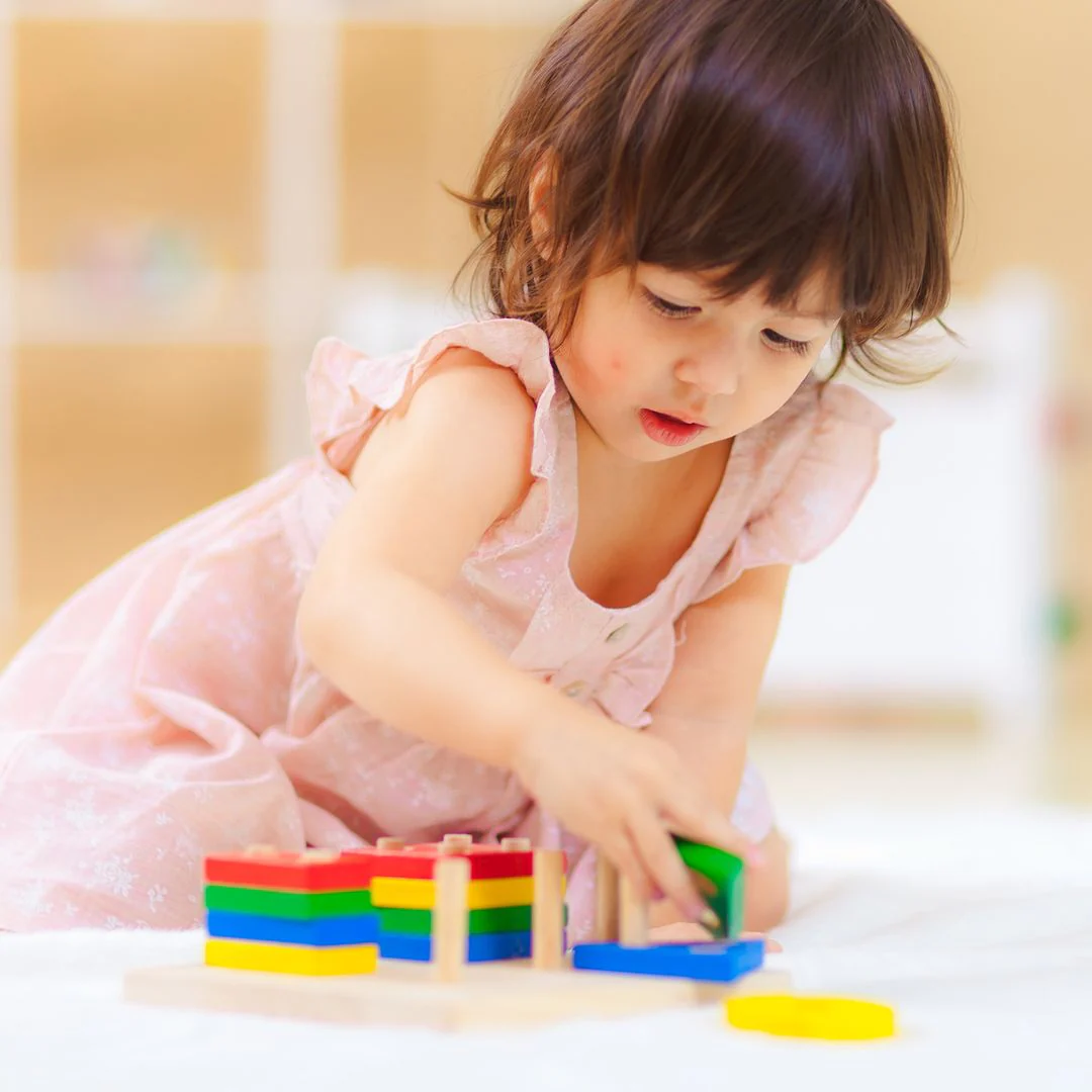 PlanToysPlanToys   Sorting Board - Image 4