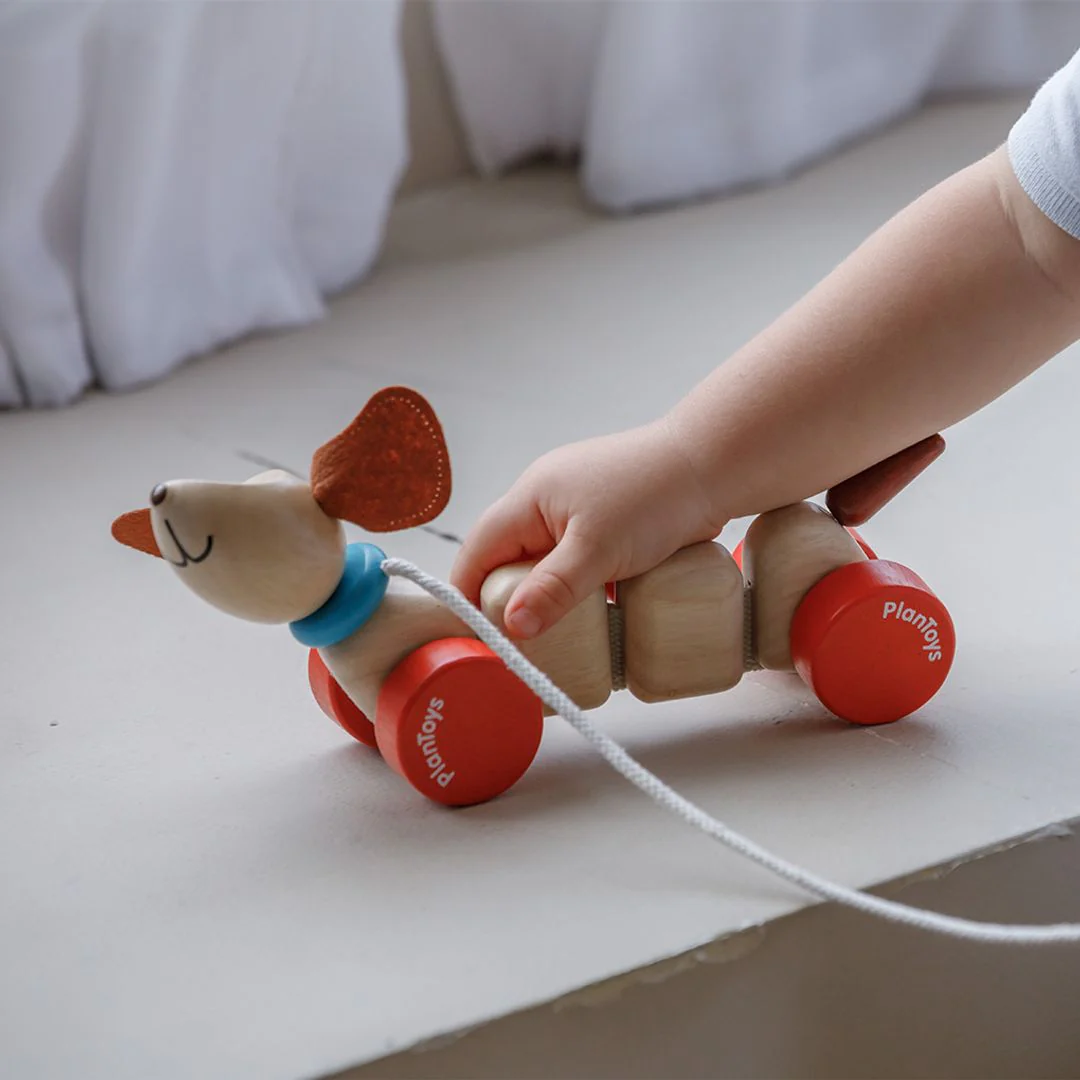 PlanToys Happy Puppy - Image 4