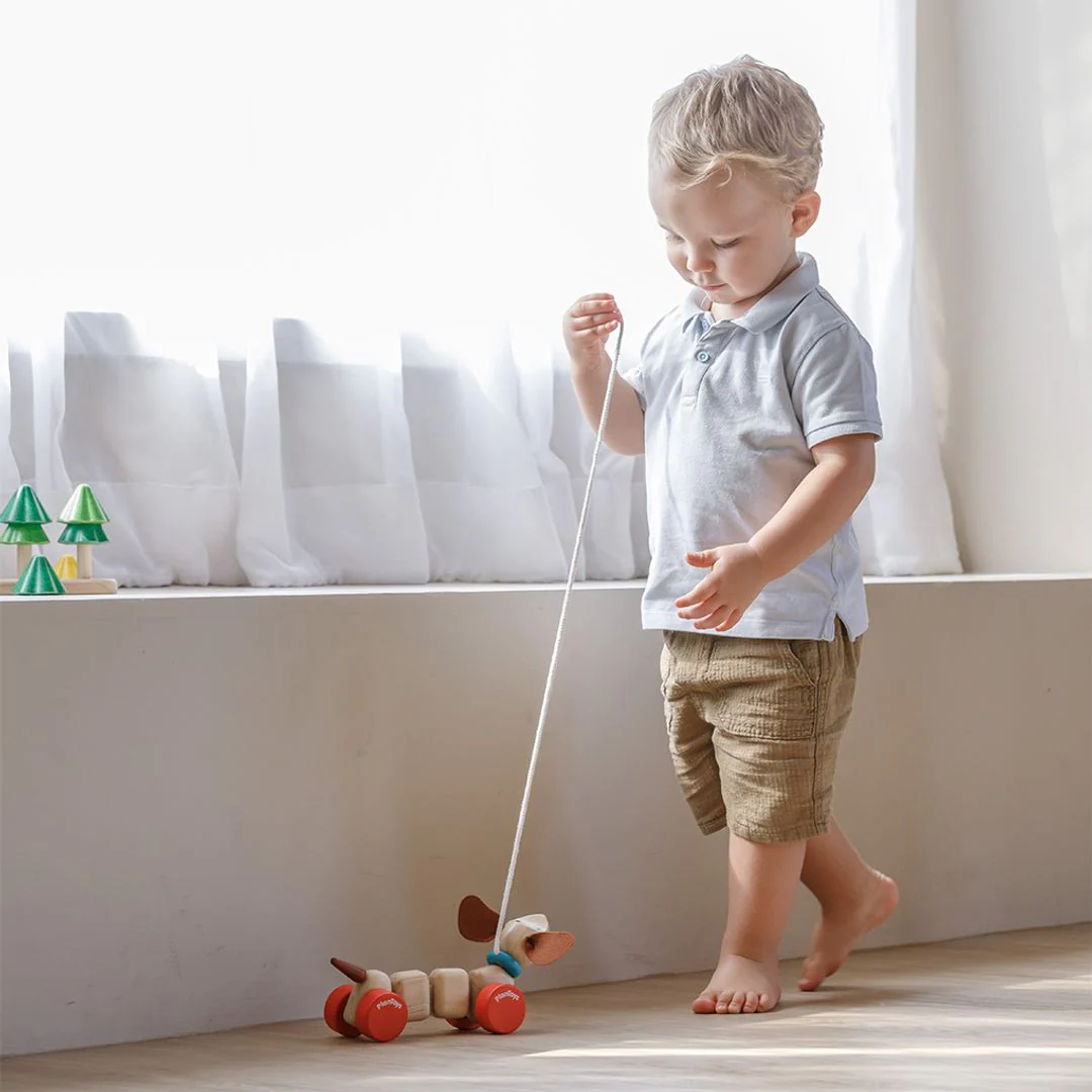 PlanToys Happy Puppy - Image 5