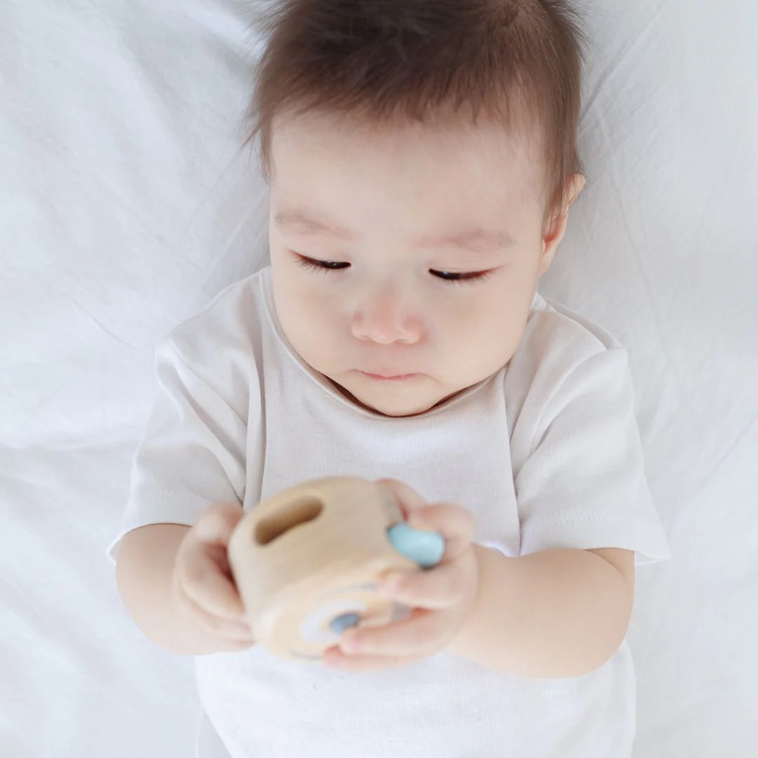 PlanToys Peek-A-Boo Roller - Image 2