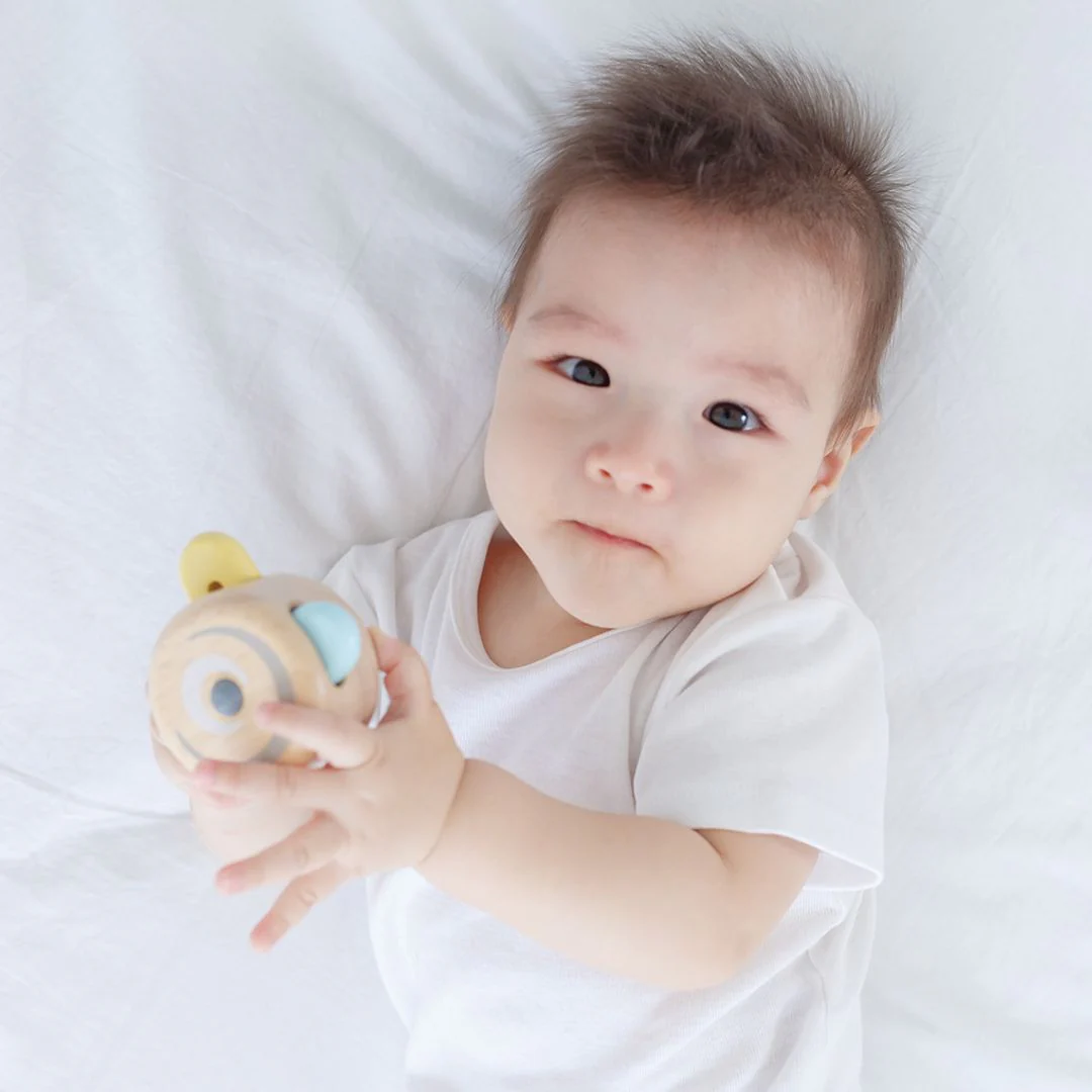 PlanToys Peek-A-Boo Roller - Image 3