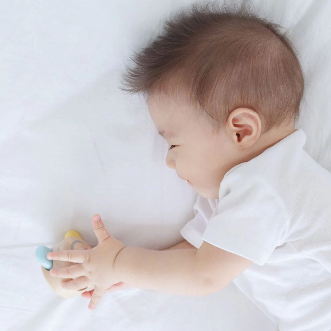 PlanToys Peek-A-Boo Roller - Image 4