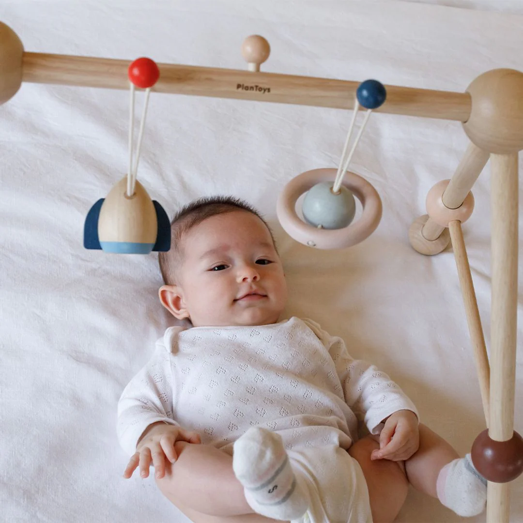 PlanToys Play Gym - Orchard - Image 3