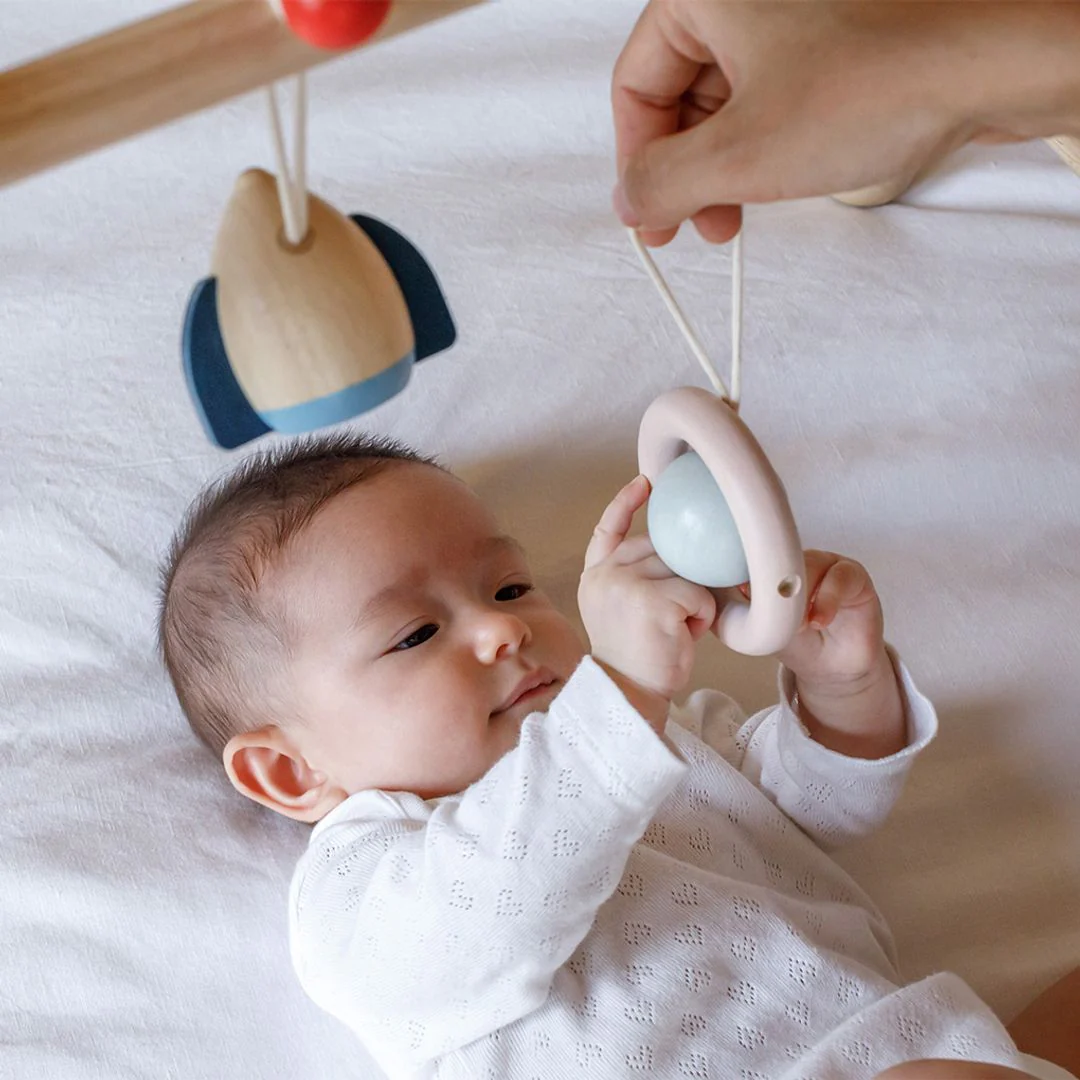 PlanToys Play Gym - Orchard - Image 5