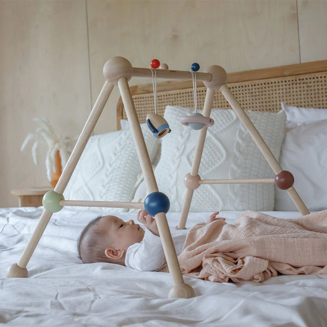 PlanToys Play Gym - Orchard - Image 6