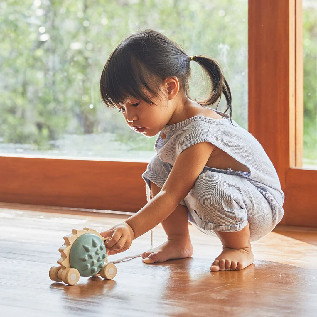 PlanToys Pull-Along Hedgehog - Blue - Image 5