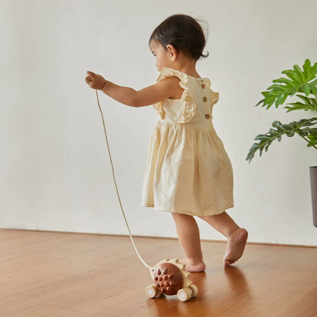 PlanToys Pull-Along Hedgehog - Brown - Image 3