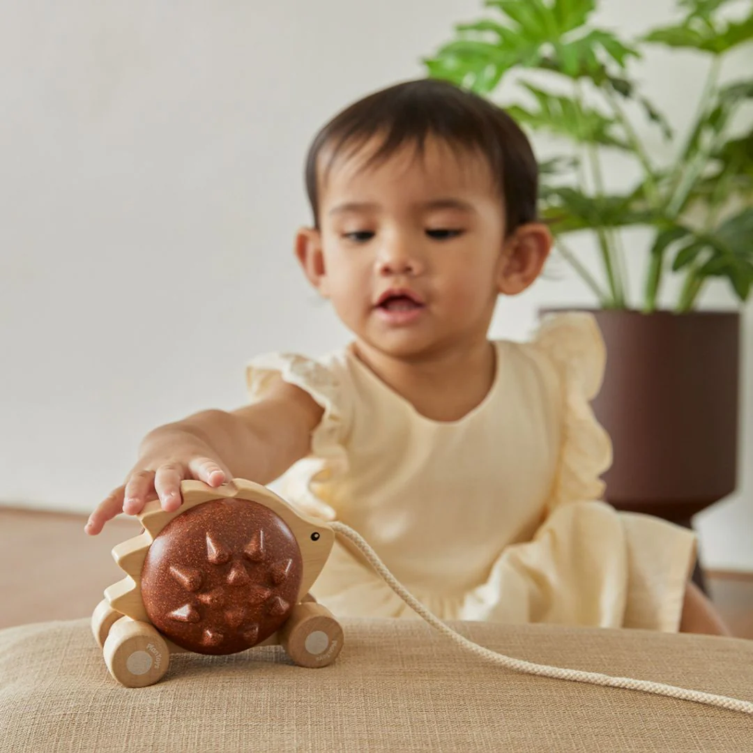 PlanToys Pull-Along Hedgehog - Brown - Image 4