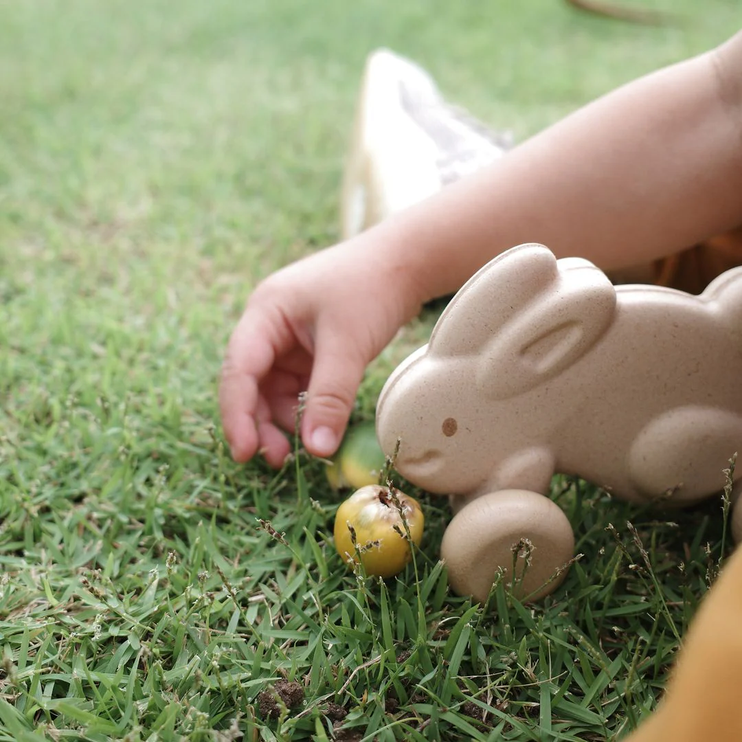 PlanToys Push Along Bunny - White - Image 4