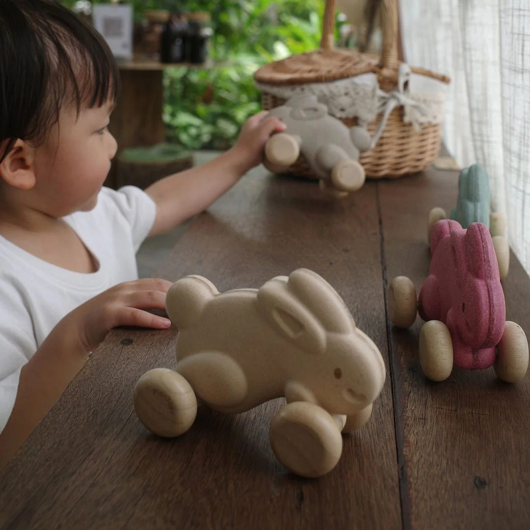 PlanToys Push Along Bunny - White - Image 5