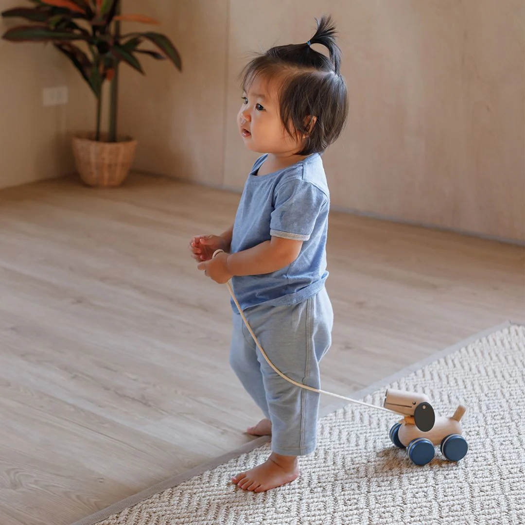 PlanToys Push & Pull Puppy - Image 4