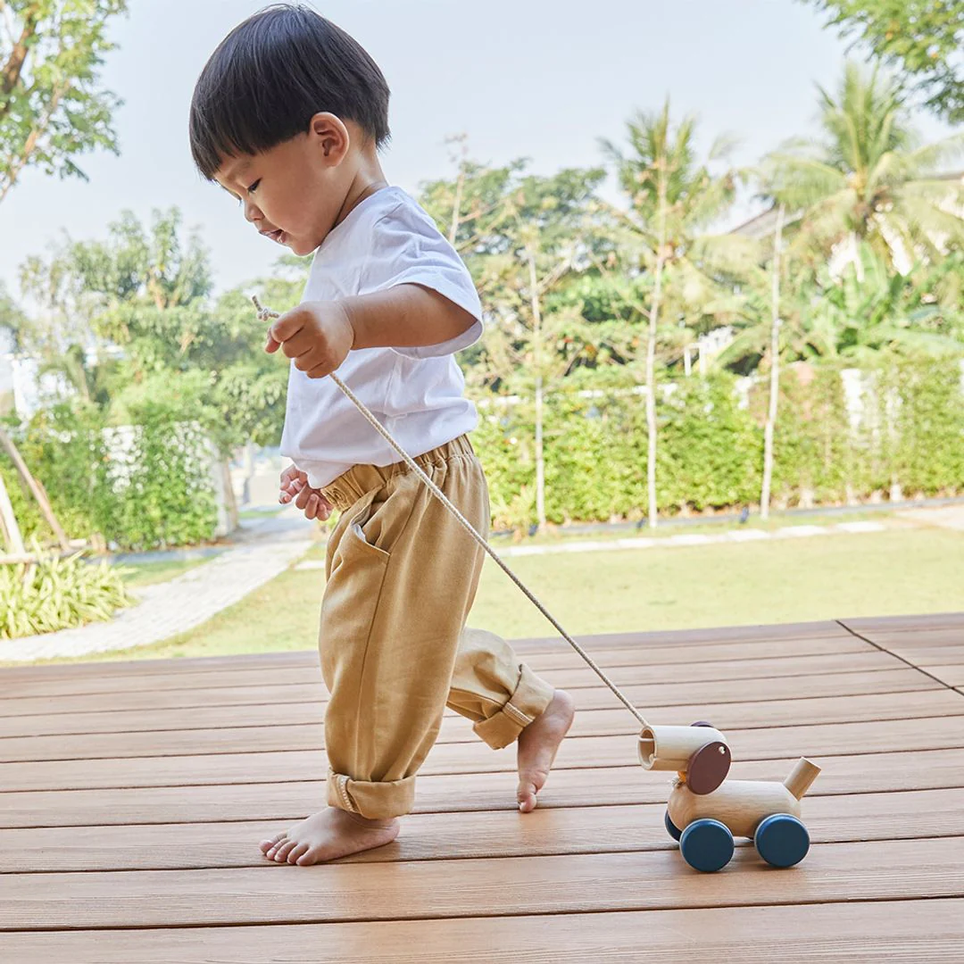 PlanToys Push & Pull Puppy - Image 6