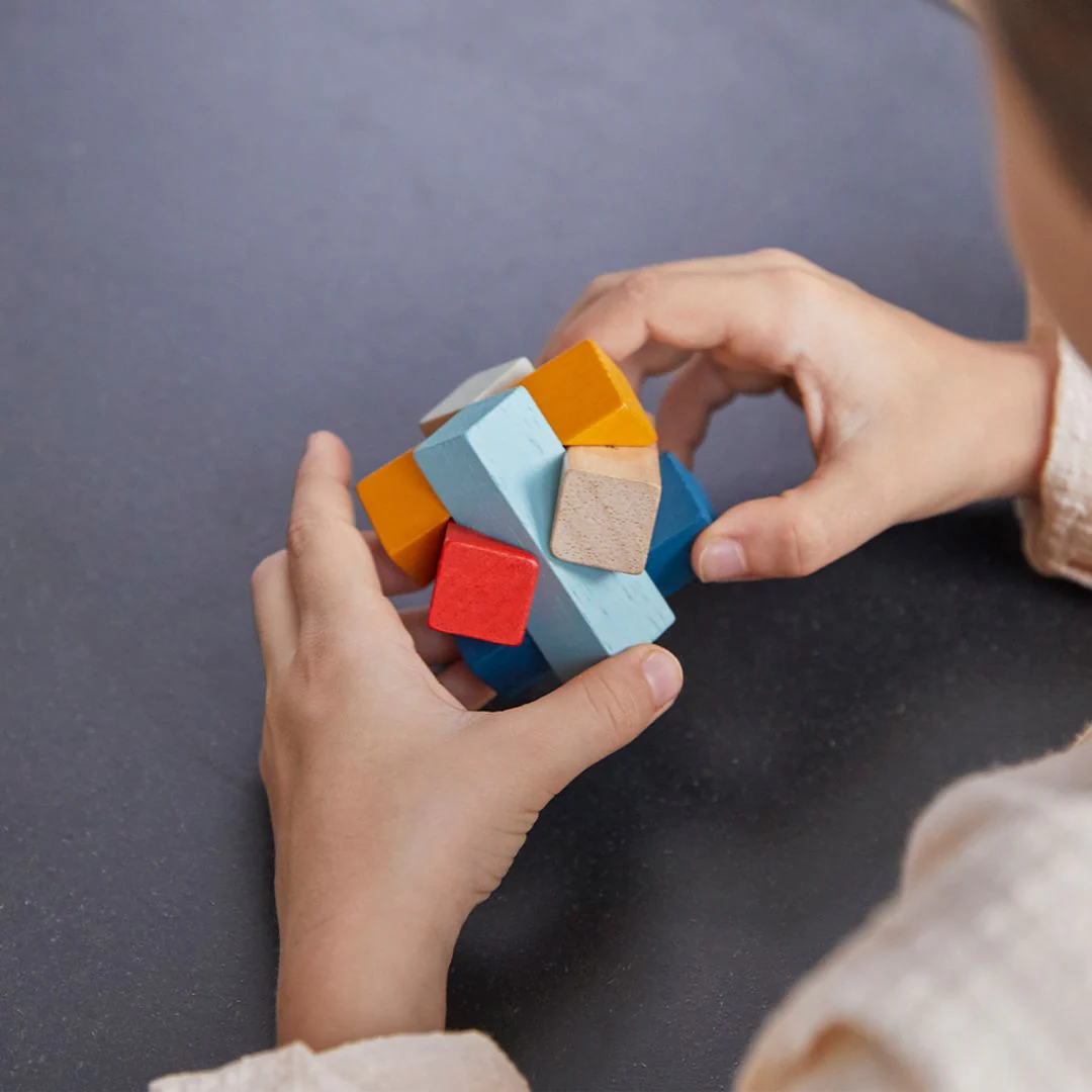 PlanToys Rectangular Puzzle - PlanMini - Image 5