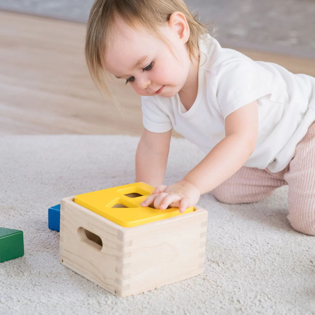 PlanToys Shape & Sort It Out - Image 2