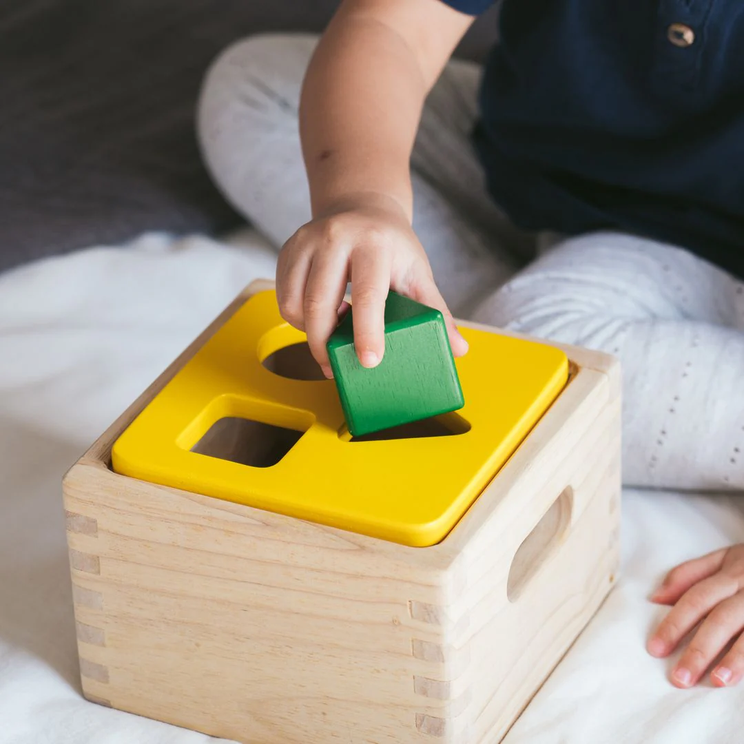 PlanToys Shape & Sort It Out - Image 4