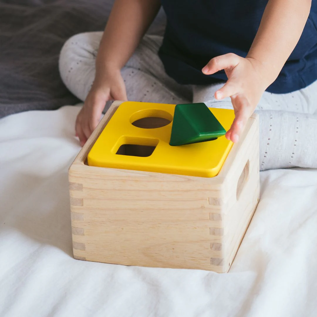 PlanToys Shape & Sort It Out - Image 5