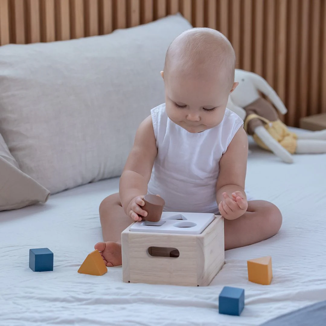 PlanToys Shape & Sort It Out - Orchard - Image 2