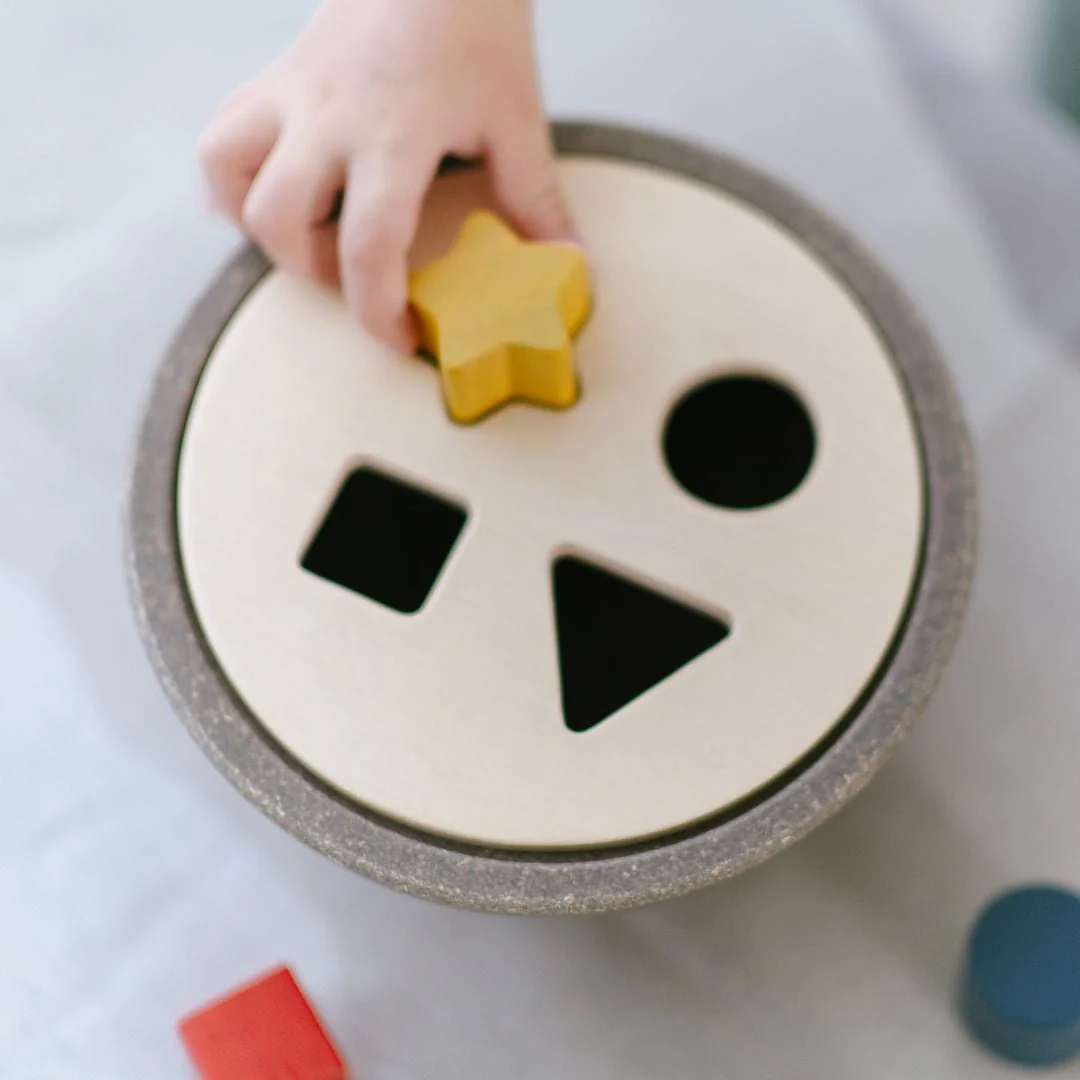 PlanToys Shape Sorting Bowl - Image 8