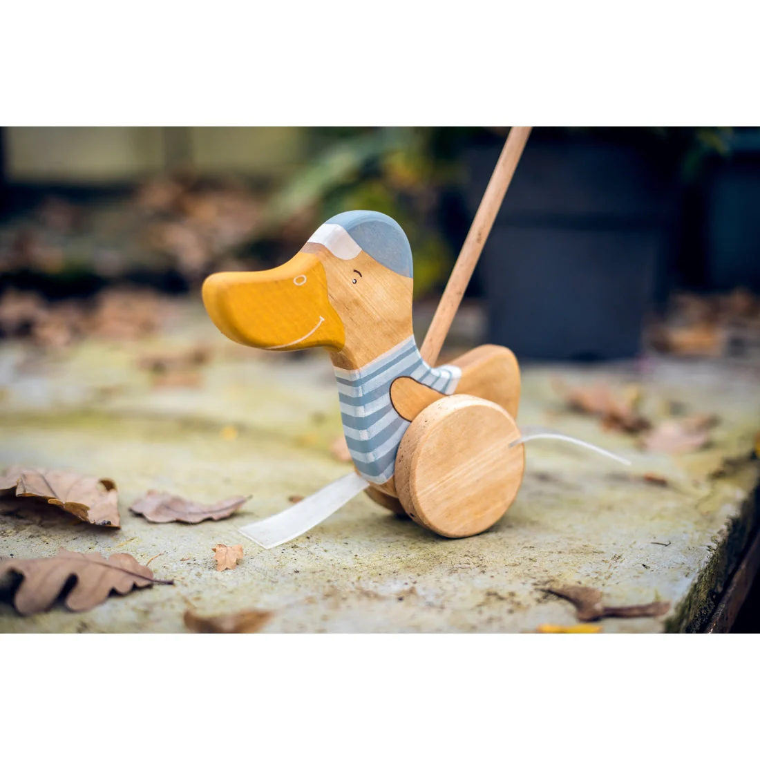 Wooden Push Duck - Blue - Image 3