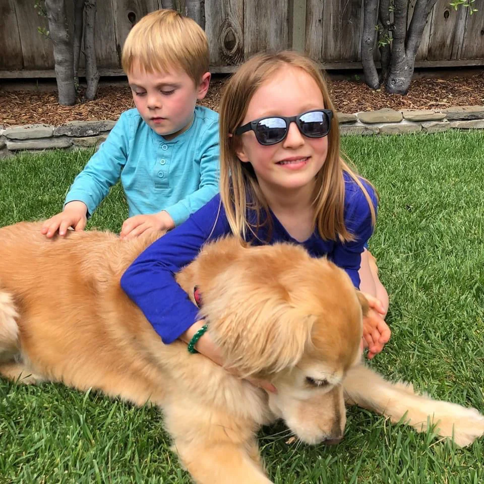 ro•sham•bo Bueller Shades | Junior - Image 15