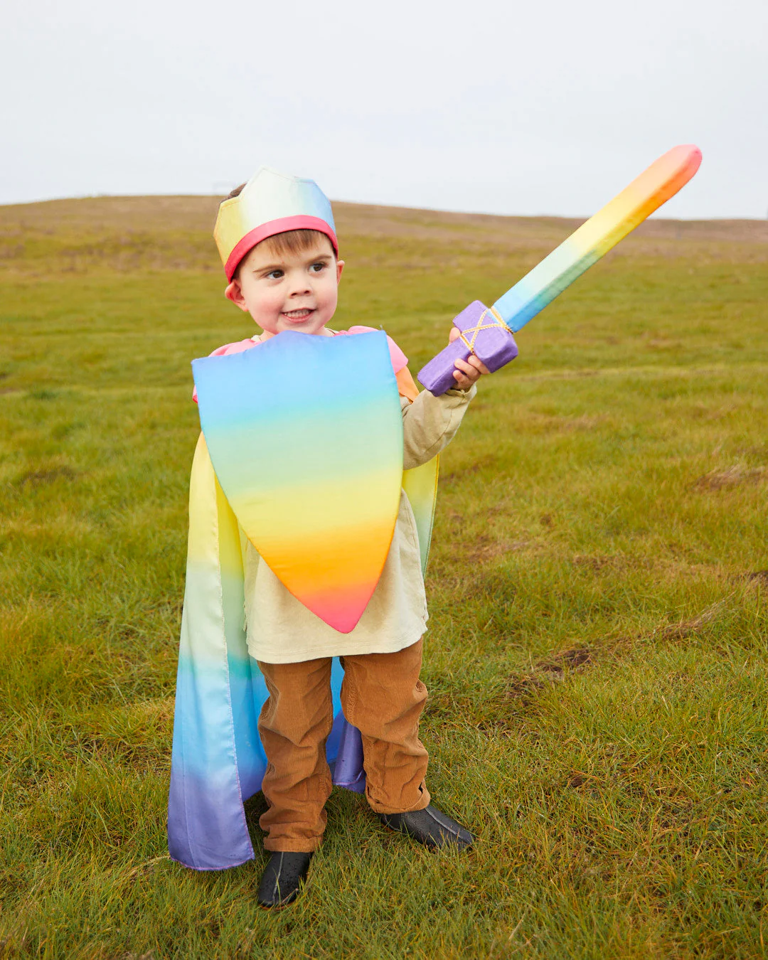 Sarah's Silks Rainbow Shield - Image 4