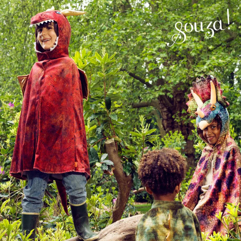 Souza Red Dragon Costume Cape for Kids - Carnival & Festive Use - Image 4