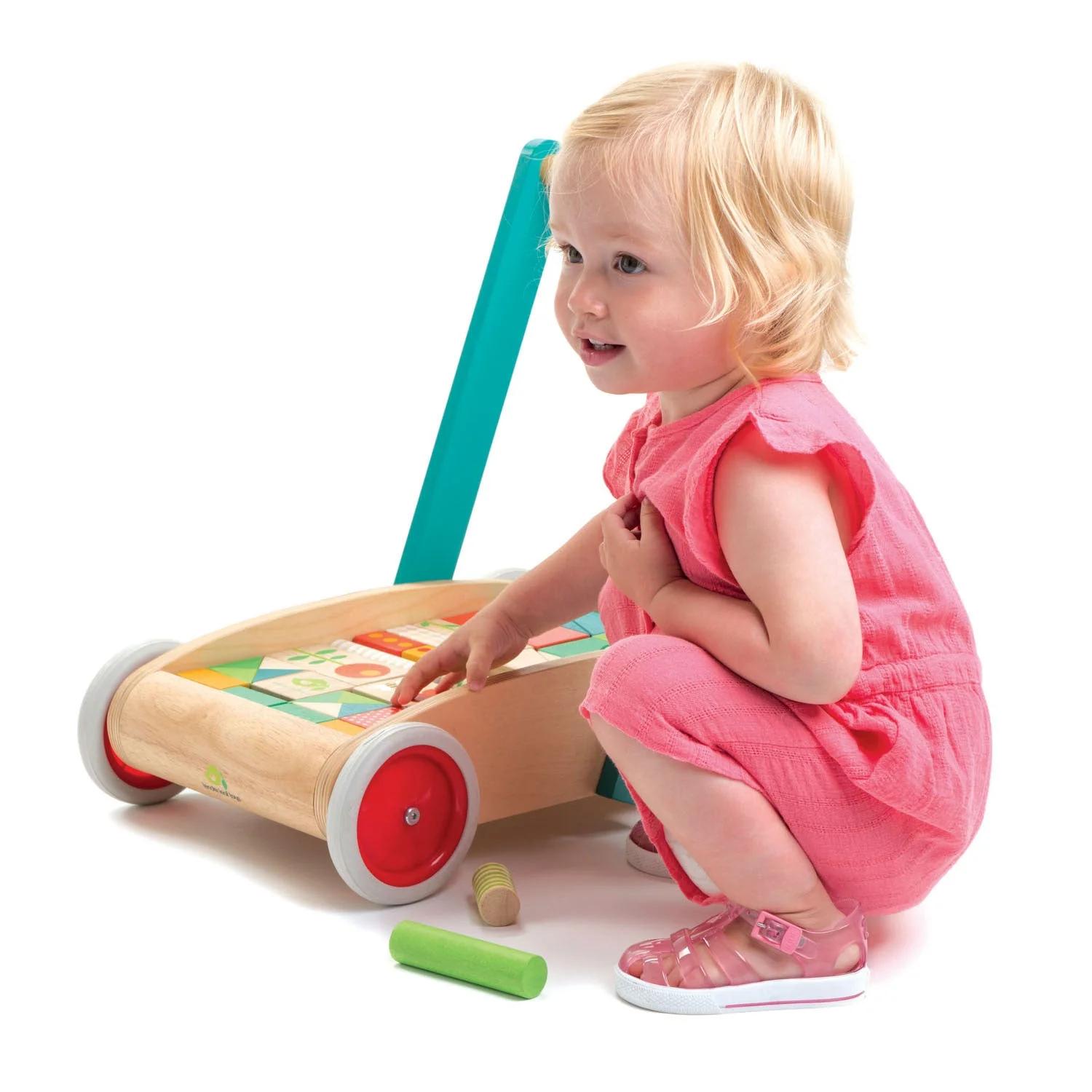 Tender Leaf Baby Block Walker - Image 5