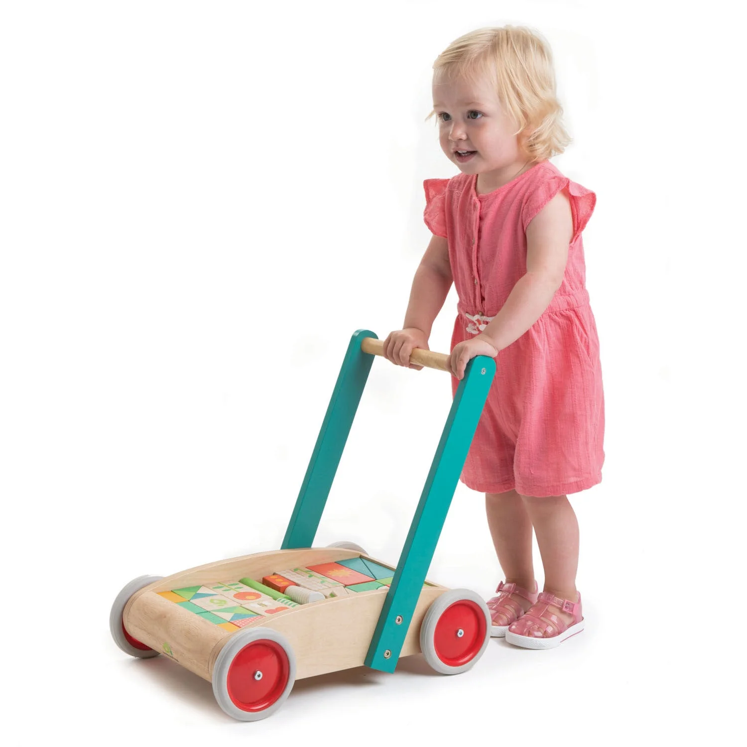 Tender Leaf Baby Block Walker - Image 6