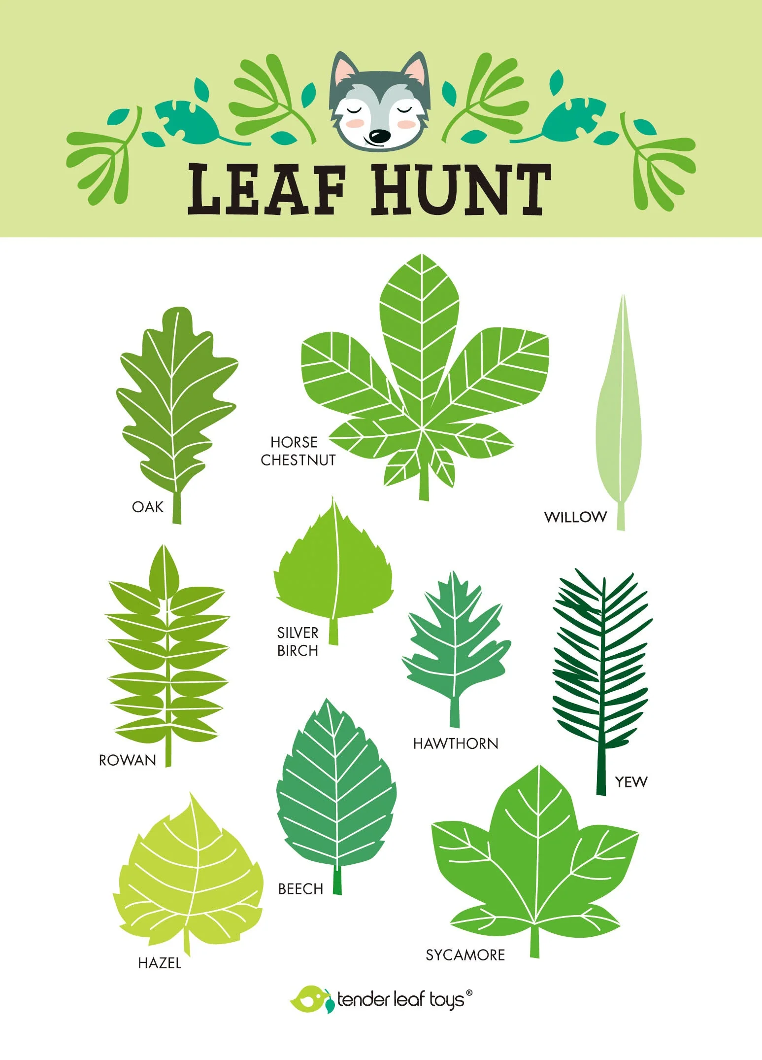 Tender Leaf Forest Trail Kit - Image 6