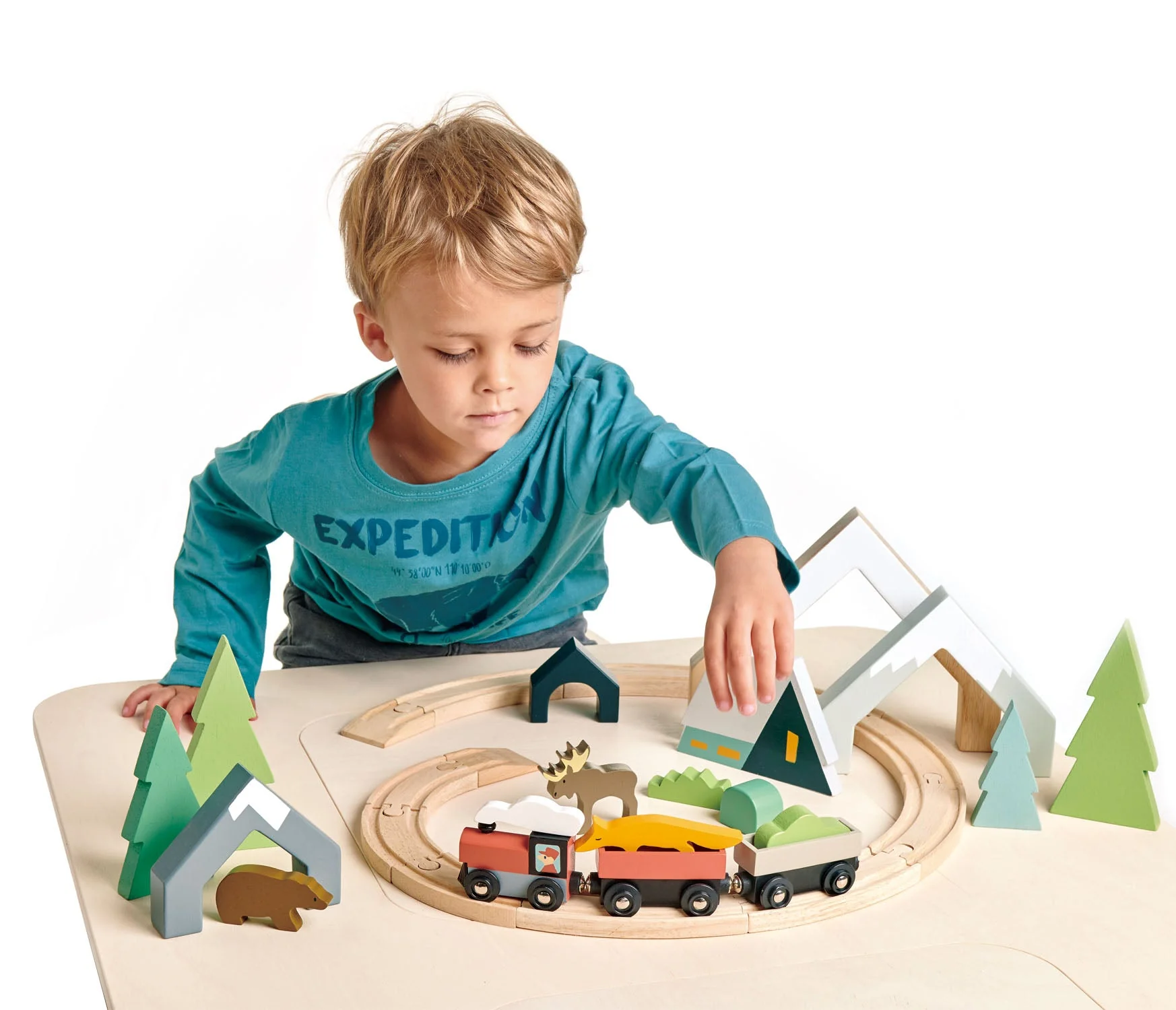 Tender Leaf Treetops Train Set - Image 2