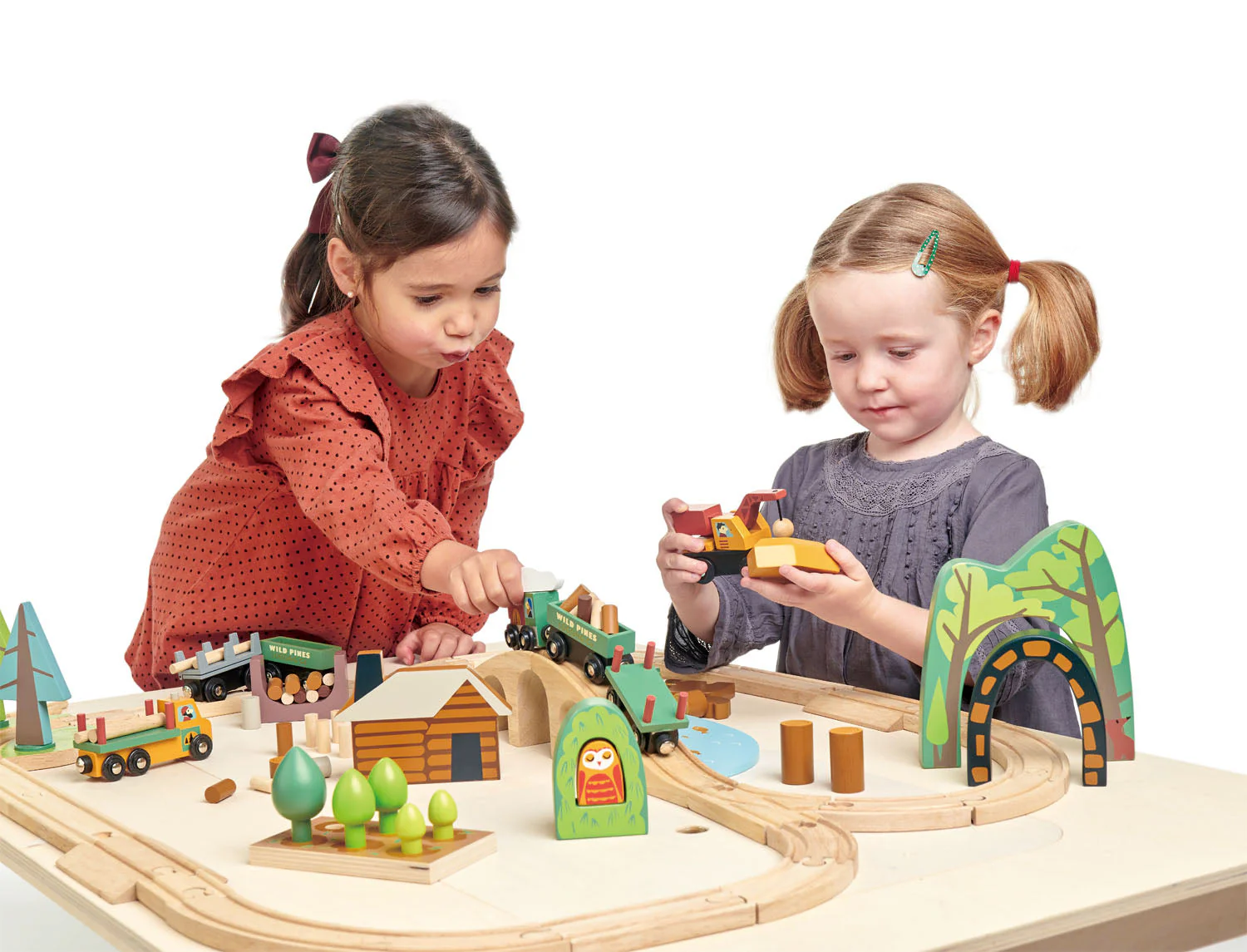 Tender Leaf Wild Pines Train Set - Image 2