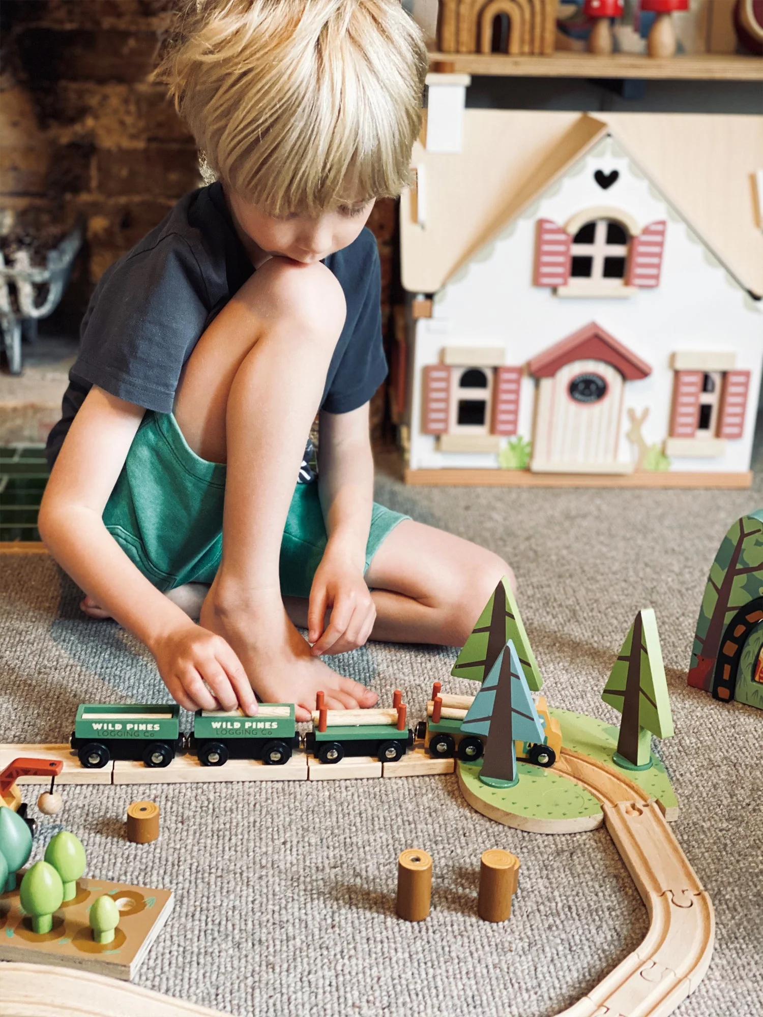 Tender Leaf Wild Pines Train Set - Image 9